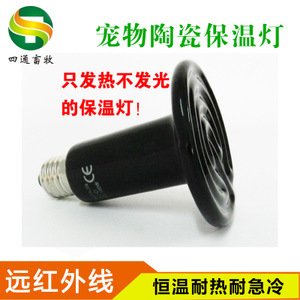 探尋寵物蜂產(chǎn)業(yè) 從價格、采購到供應(yīng)商的全面解析